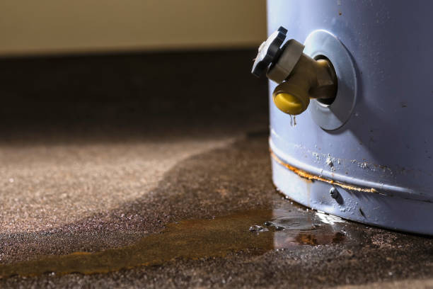 Best Water damage restoration process  in Bayonne, NJ