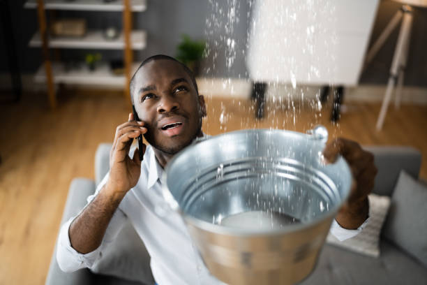 Best Water damage cleanup near me  in Bayonne, NJ