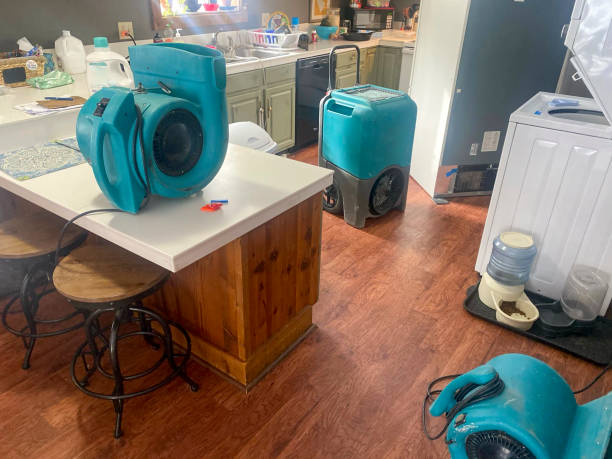 Professional Water damage restoration in Bayonne, NJ