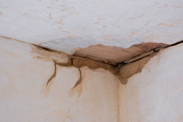 Water damage restoration insurance claims in Bayonne, NJ