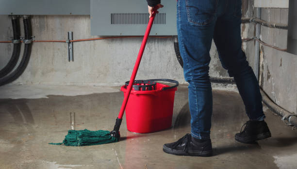 Best Fire Damage Restoration  in Bayonne, NJ